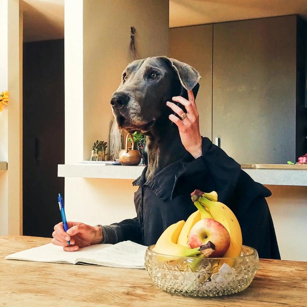 Ready to get started?